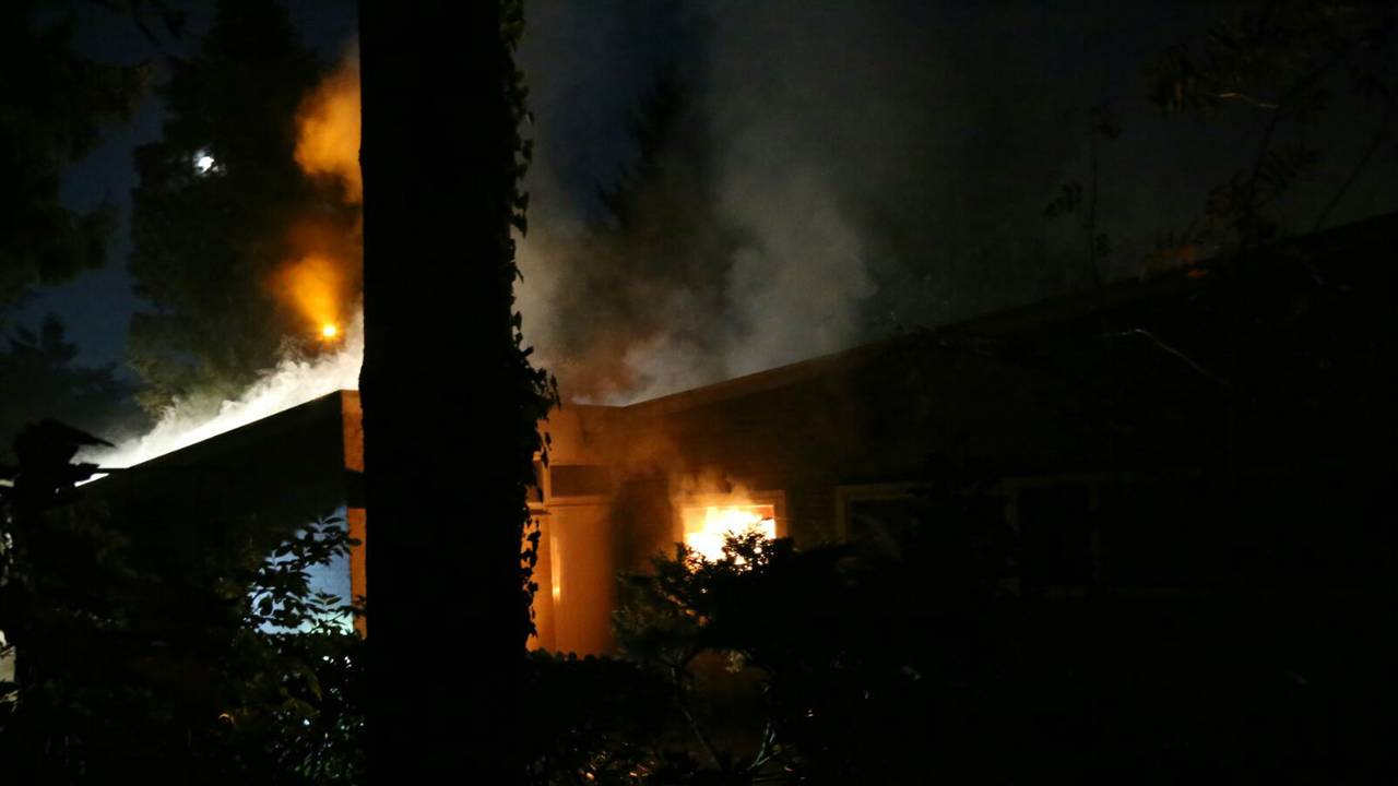 Foto: Mark van der Pol/SQ Vision