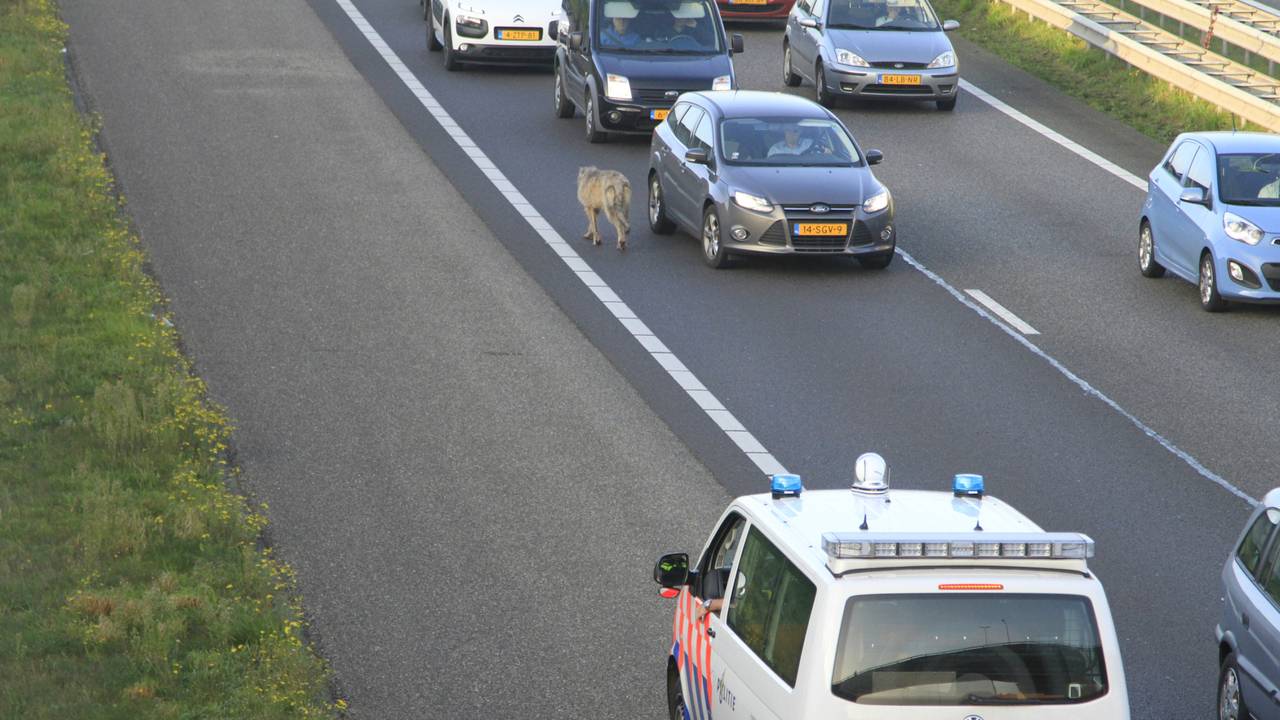 Ga naar slide 3
