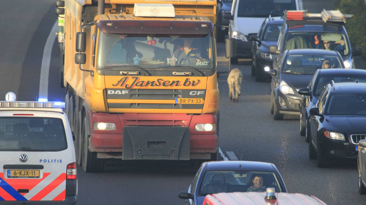 Ga naar slide 1