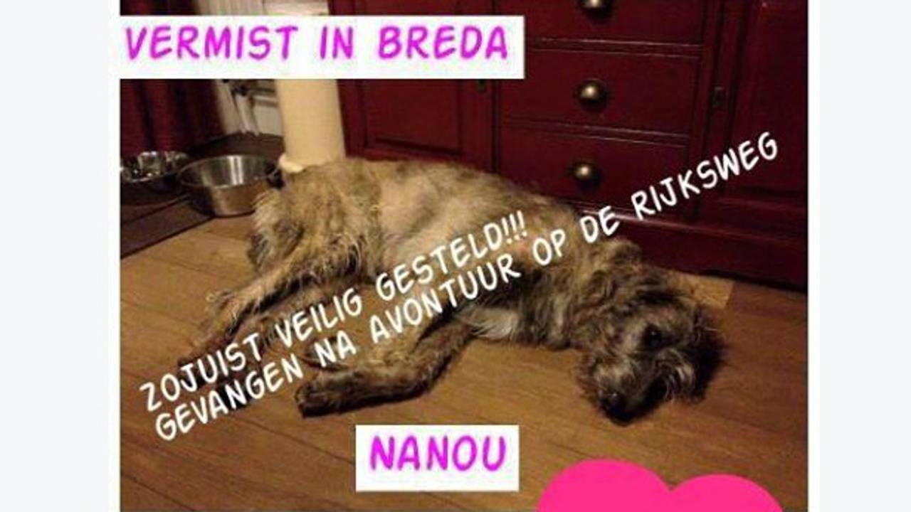 Nanou moet rust houden (foto: Facebook)
