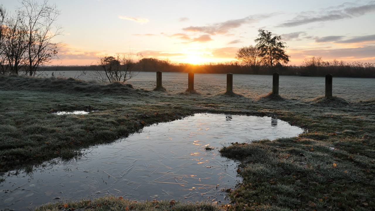 Met een beetje geluk kan de natuur er zo bij komen te liggen (foto: archief).
