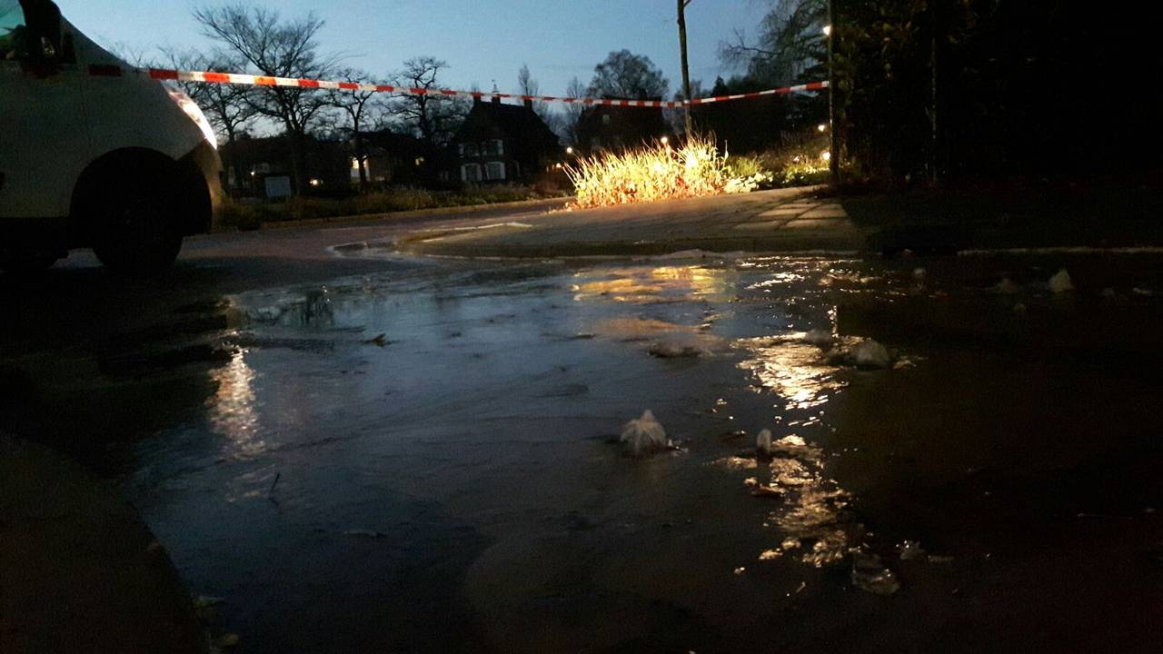 Foto: Arno van der Linden (SQ Vision)