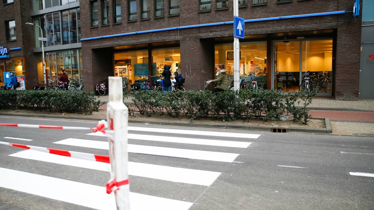 Zebrapad leidt richting de bosjes. (foto: Marcel van Dorst/SQ Vision)