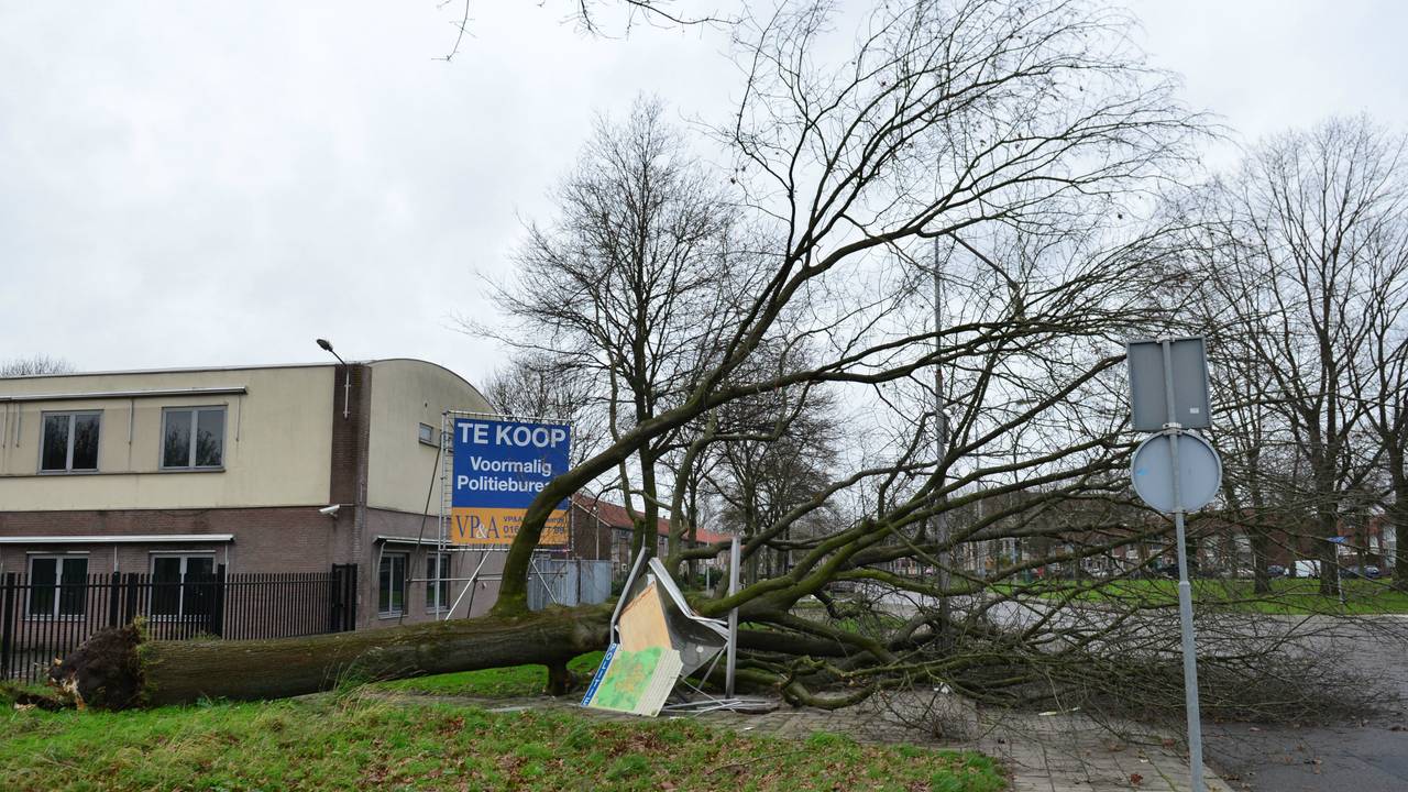 Ga naar slide 3