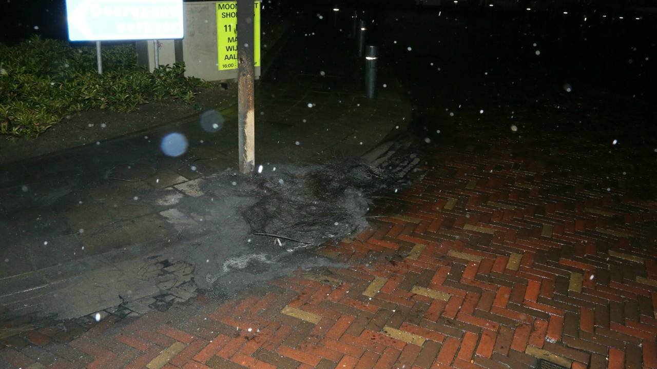 Foto: foto FPMB Erik Haverhals