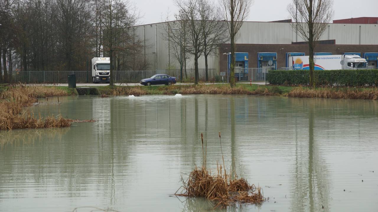 Foto: Martijn van Bijnen/FPMB