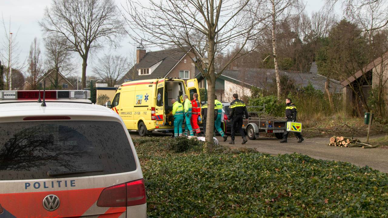 Man valt uit boom in Cuijk (foto: Saskia Kusters / Kusters Media)