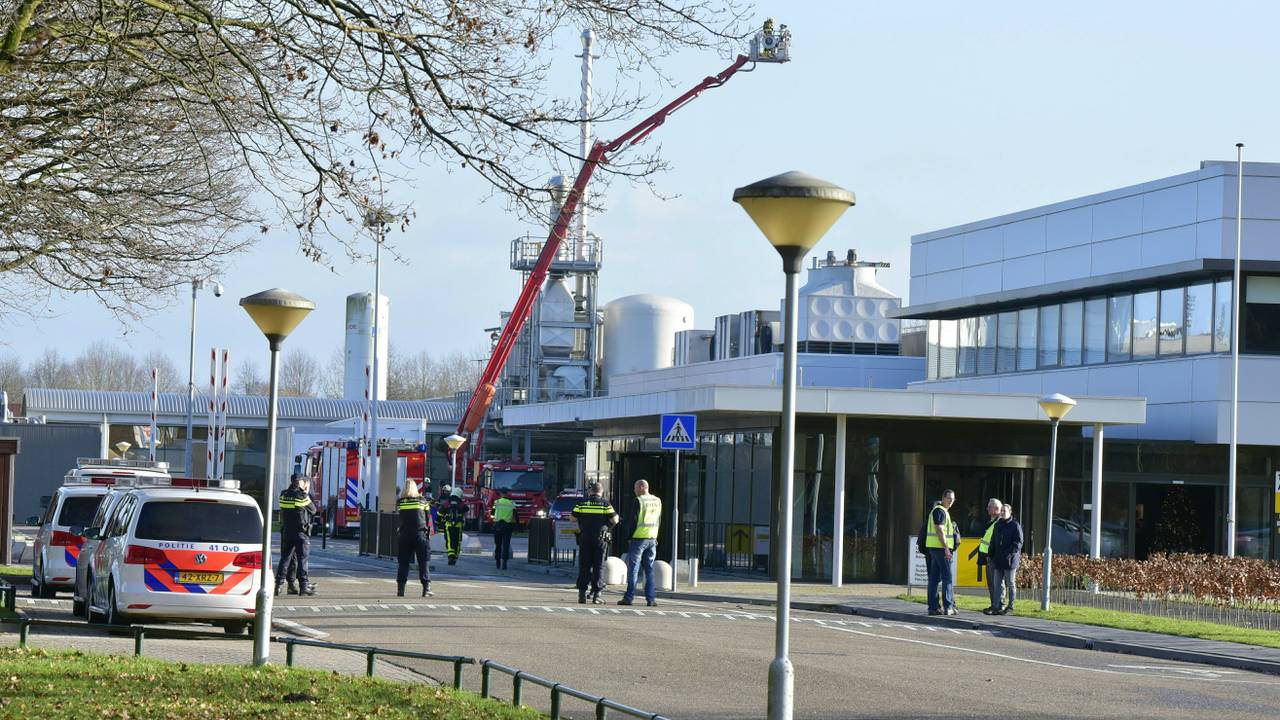 Foto: Jules Vorsselaars/JV Media