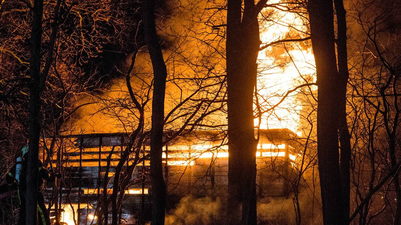 Foto: Alexander Vingerhoeds (Obscura Foto)