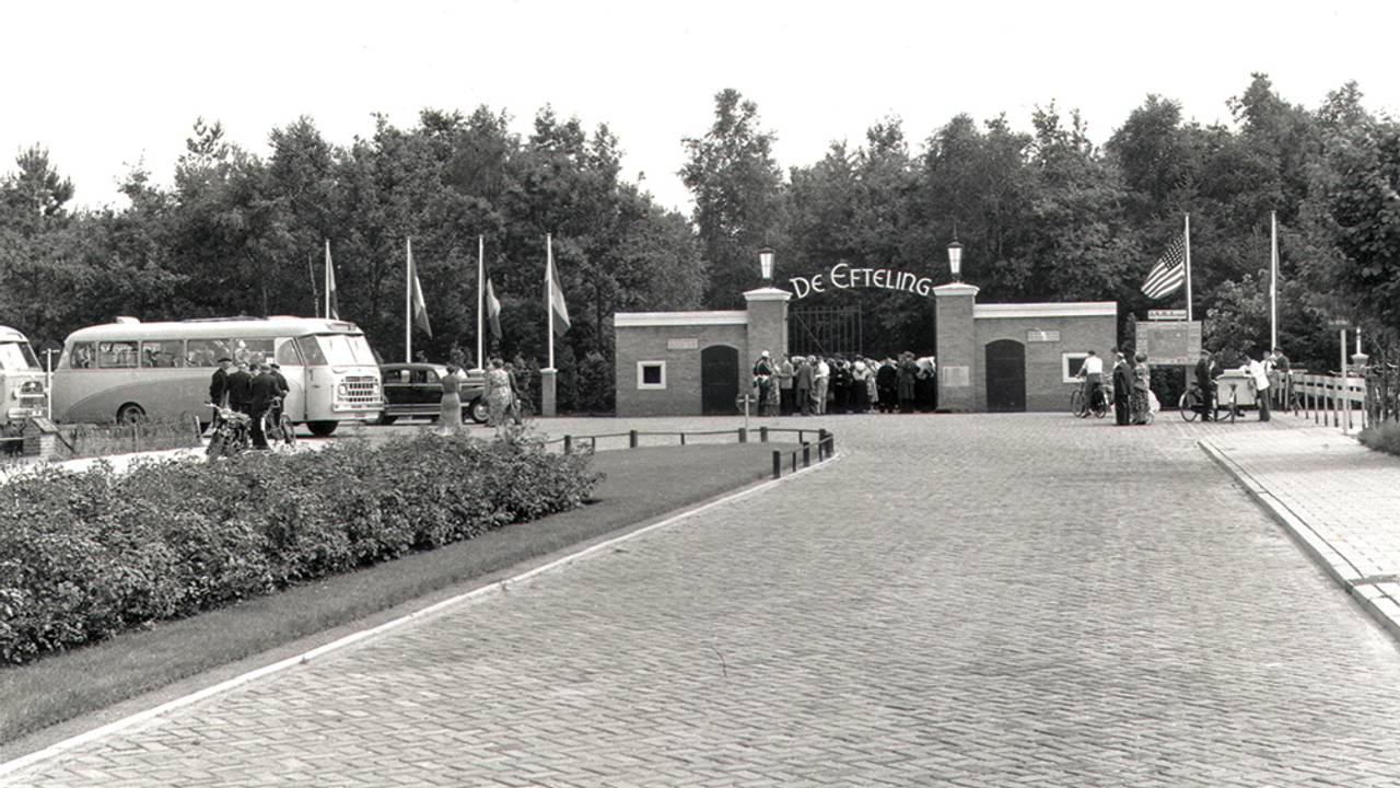De entree van de Efteling in de jaren '50