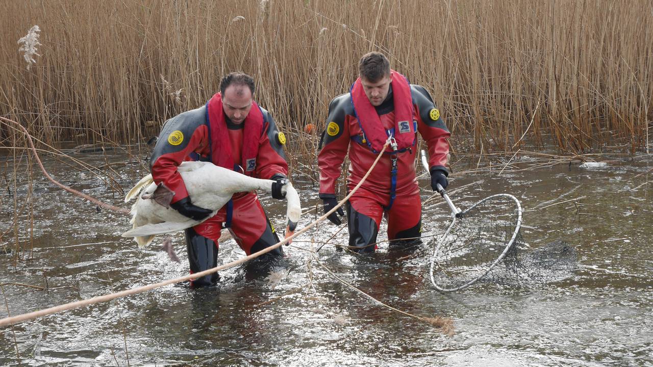 Foto: Perry Roovers/SQ Vision Mediaprodukties