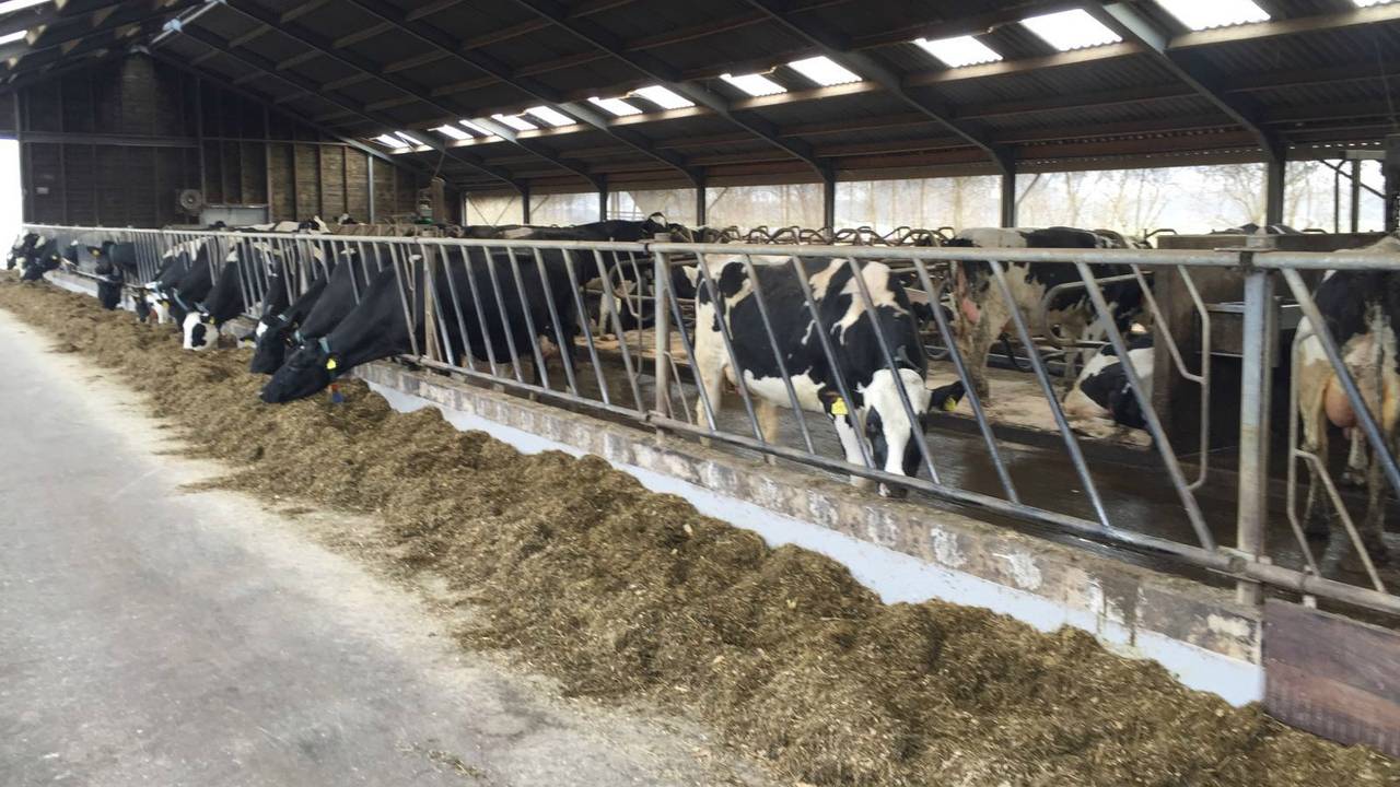 Een op de vier Brabantse boerderijen staat leeg in 2030. (Foto: archief)