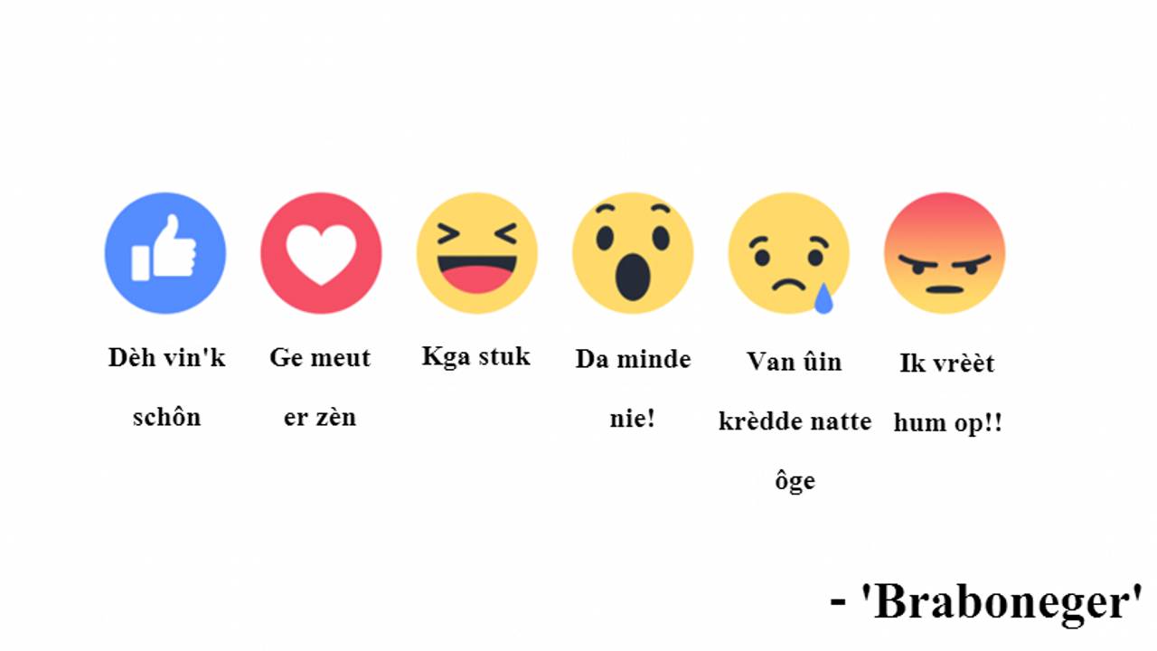 De interpretatie van Braboneger.