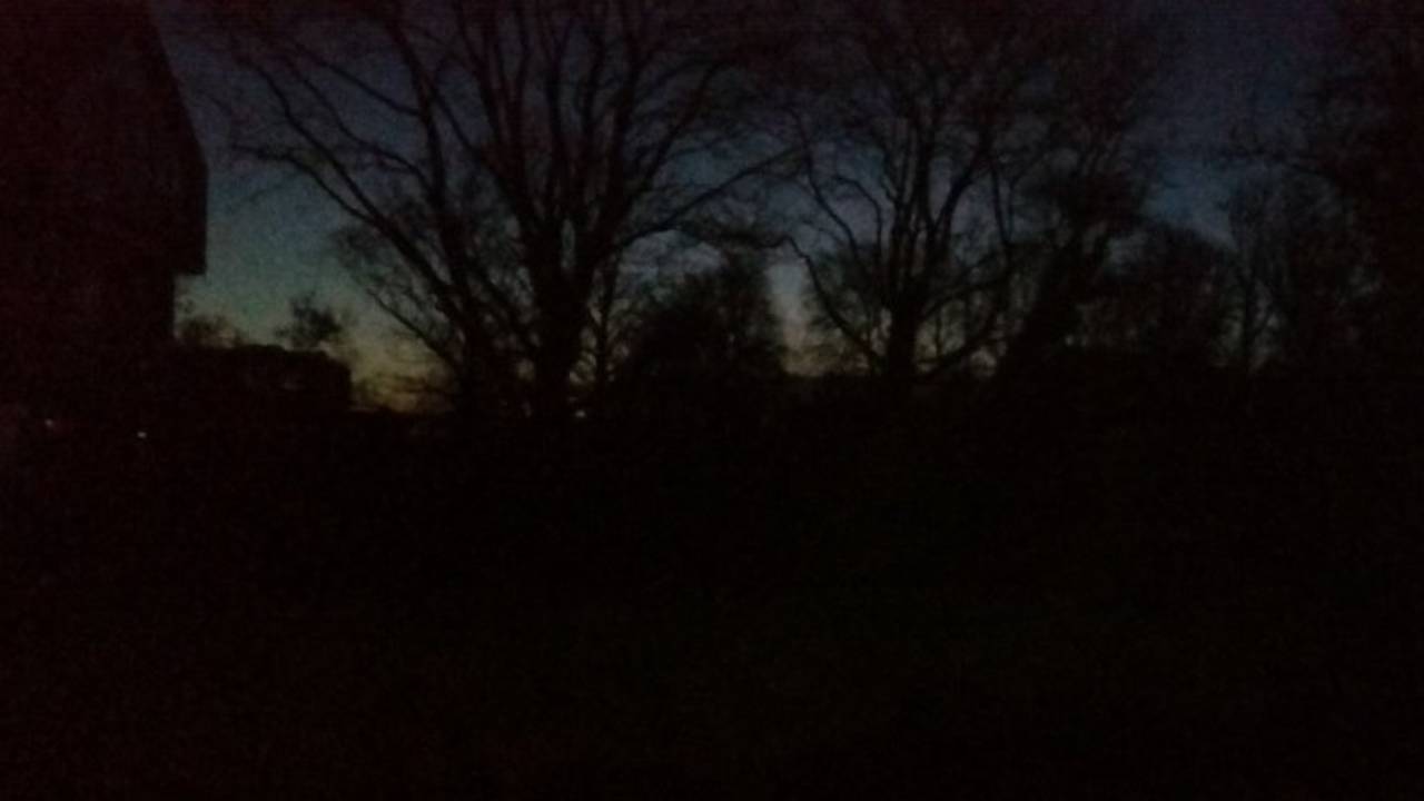 Foto: Lisette vd Boogaard (Twitter)