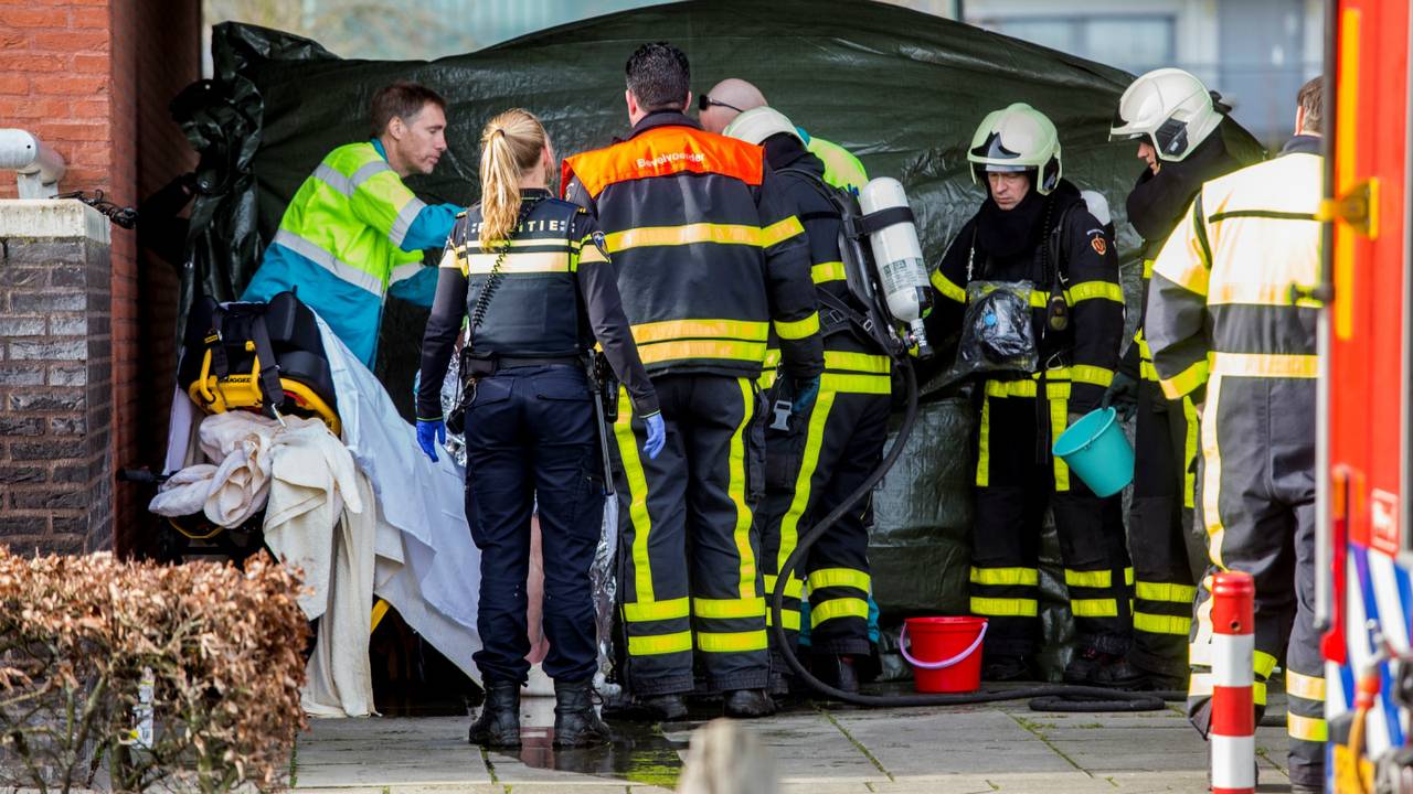 Foto: Alexander Vingerhoeds, Obscura