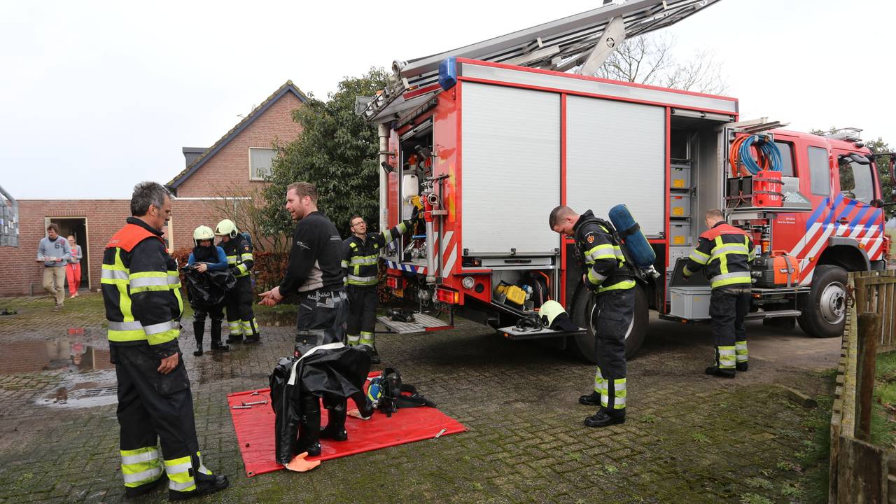 Brandweerlieden slaagden erin tien biggen te redden. (Foto: SQ Vision).