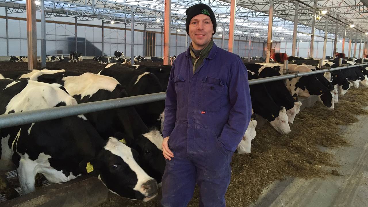Rick Lagendijk uit Diessen bij zijn koeien (Foto:  René van Hoof)