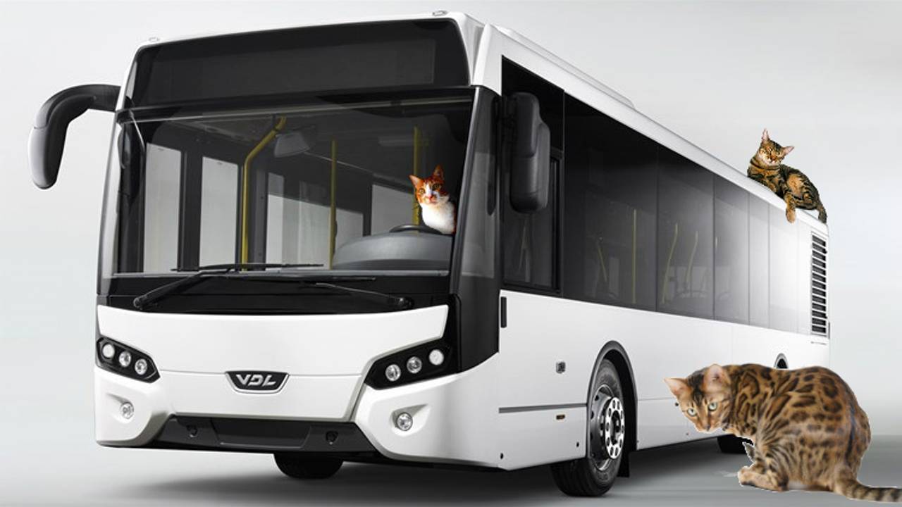 Vooral in bussen die 25.000 kilometer hebben gereden, ruik je het.