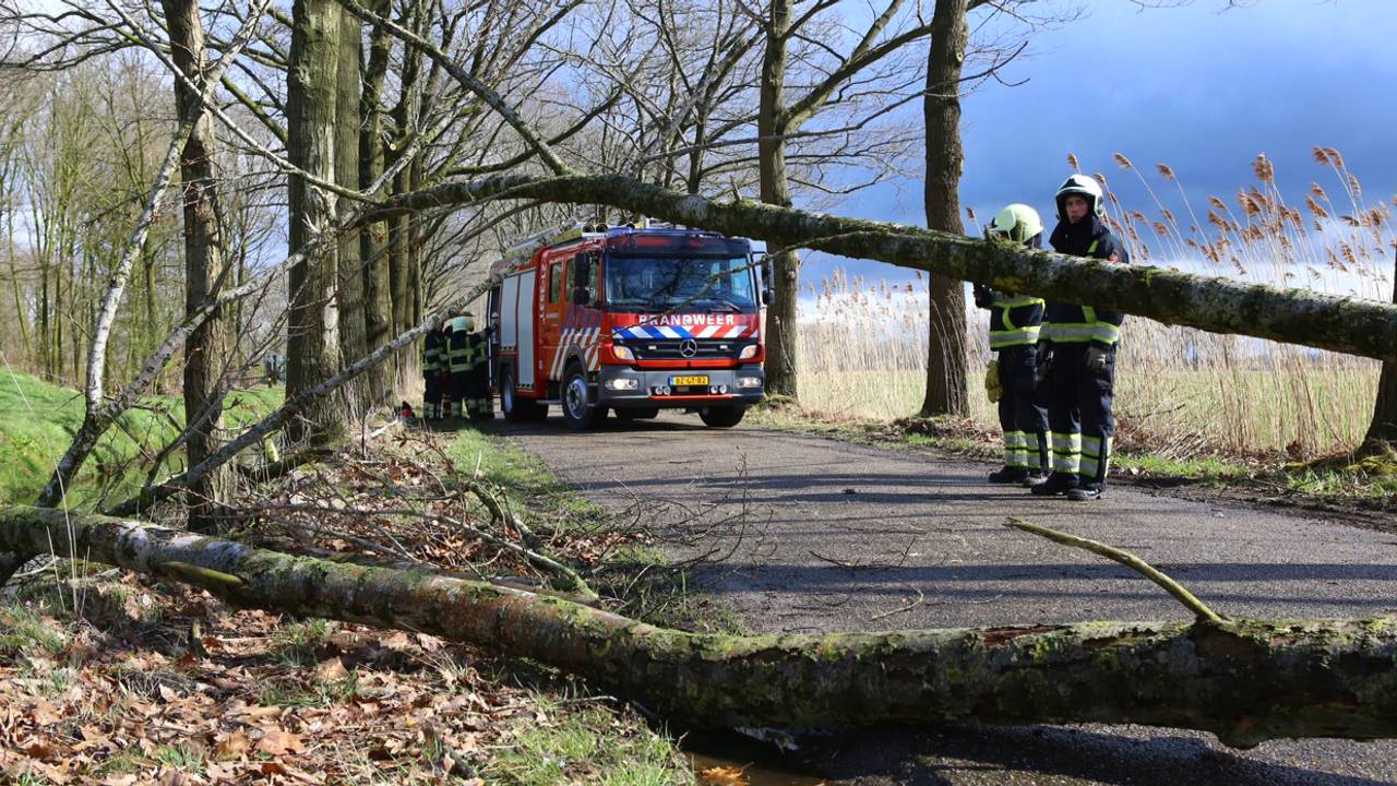Ga naar slide 2