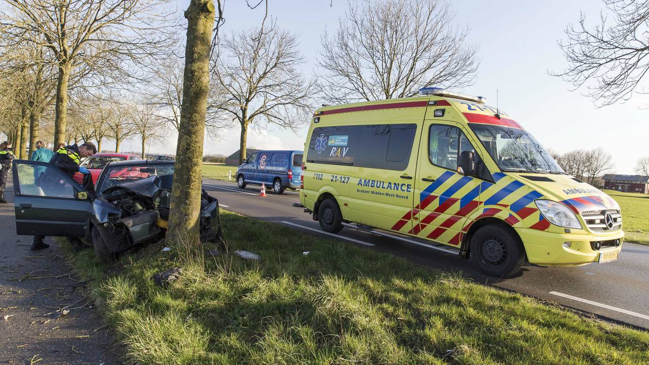 Auto tegen boom (foto: SK-Media)