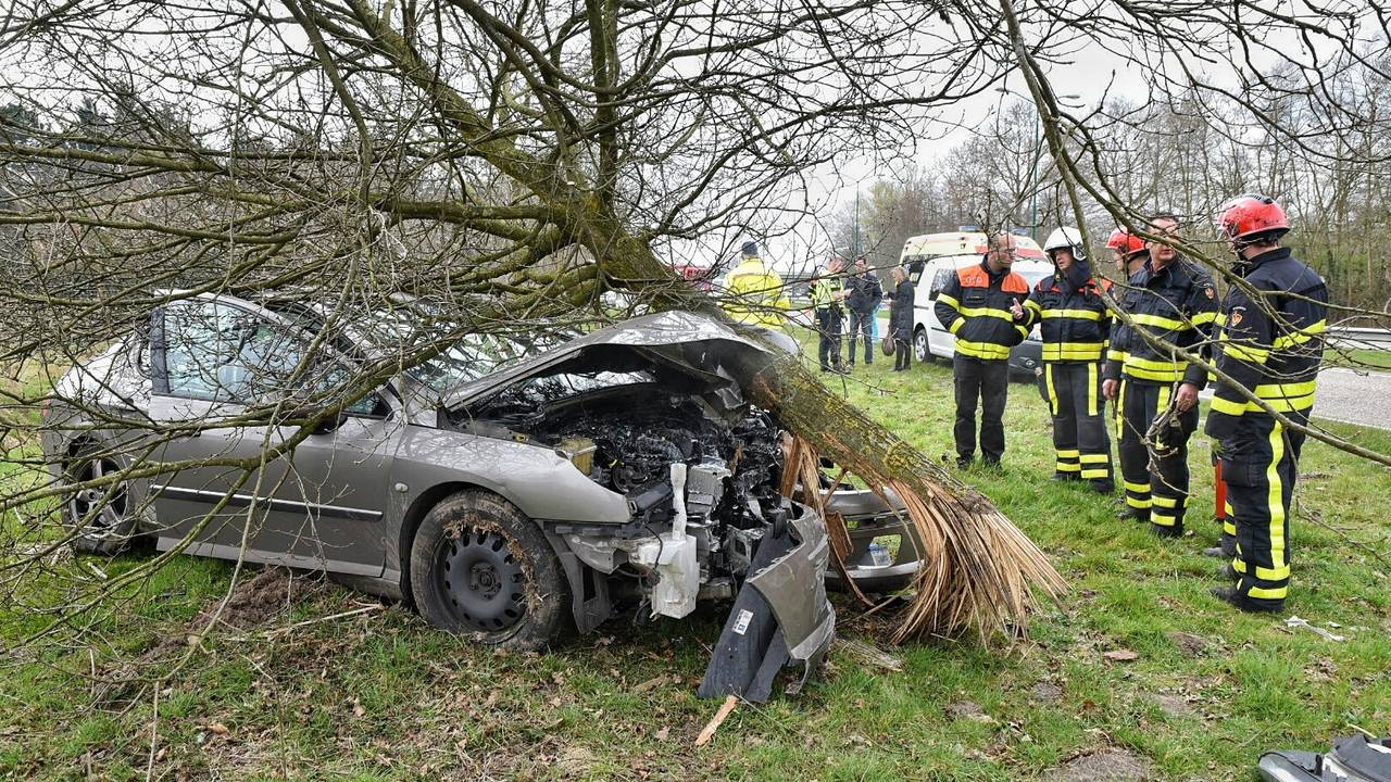 Ravage op N269 in Hilvarenbeek. (foto: Toby de Kort/De Kort Media)