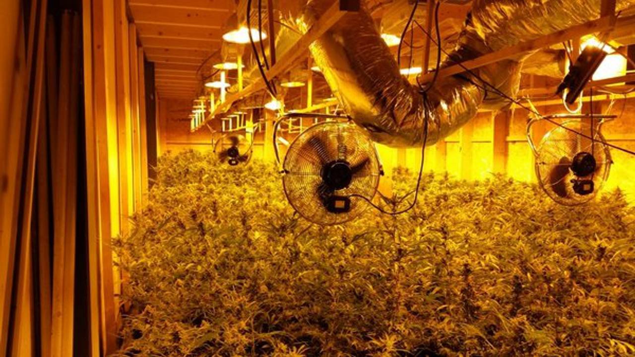 De aangetroffen hennepkwekerij (foto: politie Deurne, Asten en Someren / Facebook)