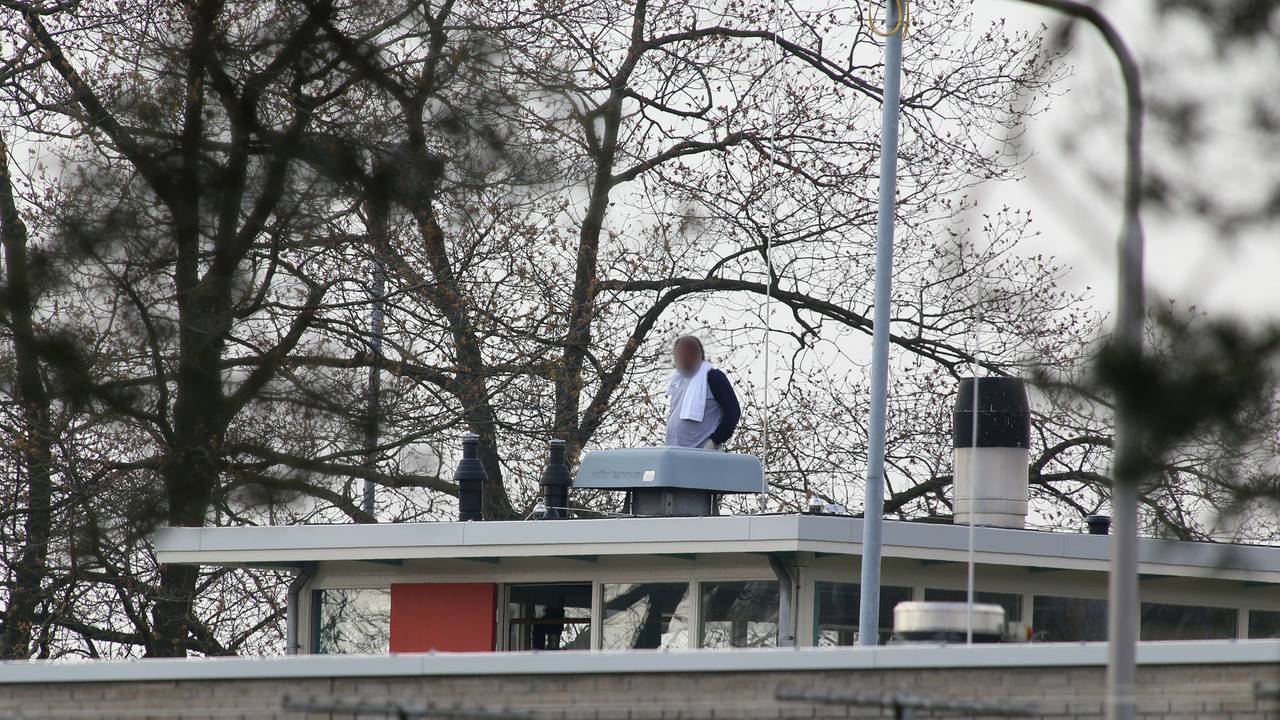 Foto: Bart Meesters (Meesters Multi Media)
