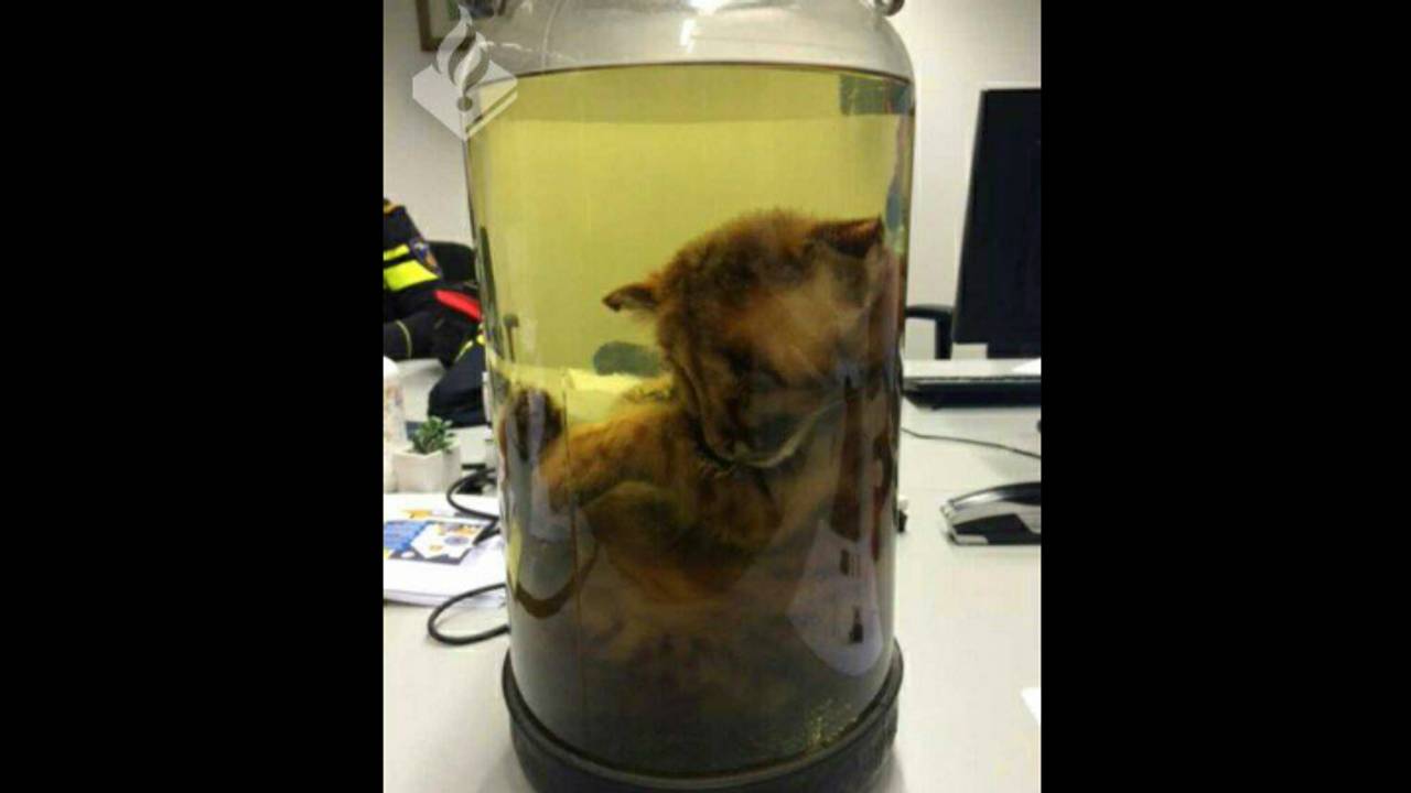 Foto: Politie Roosendaal