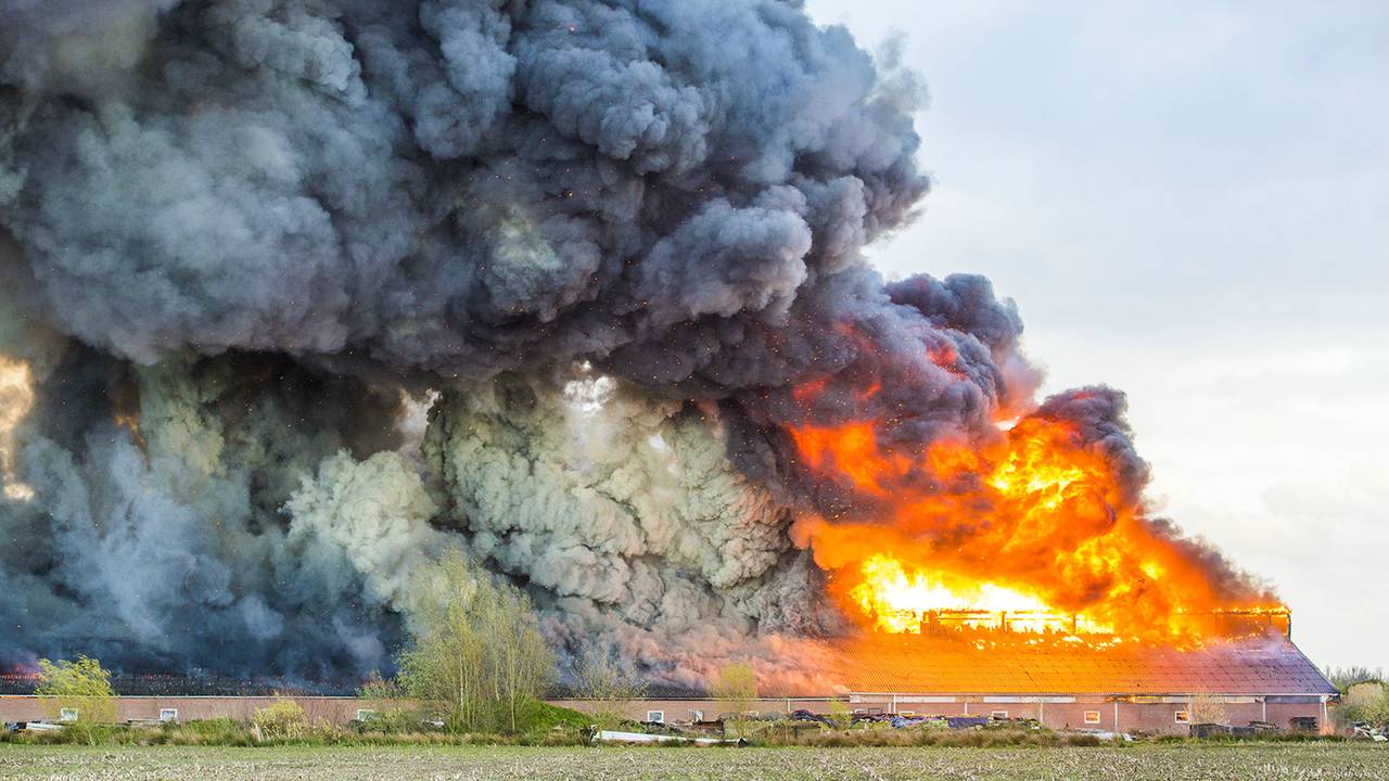 De verwoestende stalbrand in Oirschot. (Foto: Sem van Rijssel/SQ Vision)