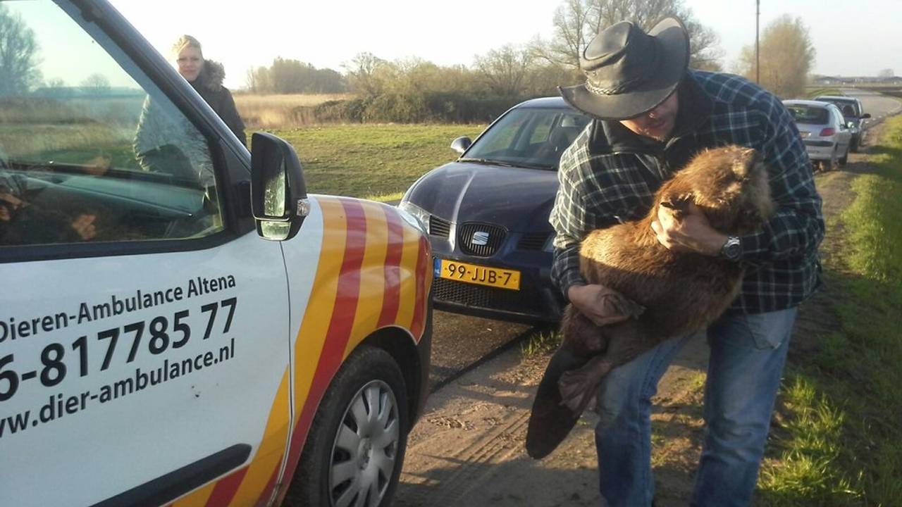 (foto: Thomas van der Es)