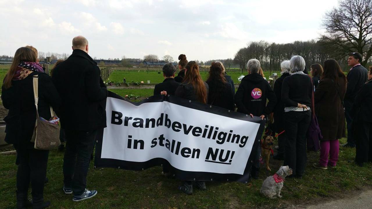 Ga naar slide 1