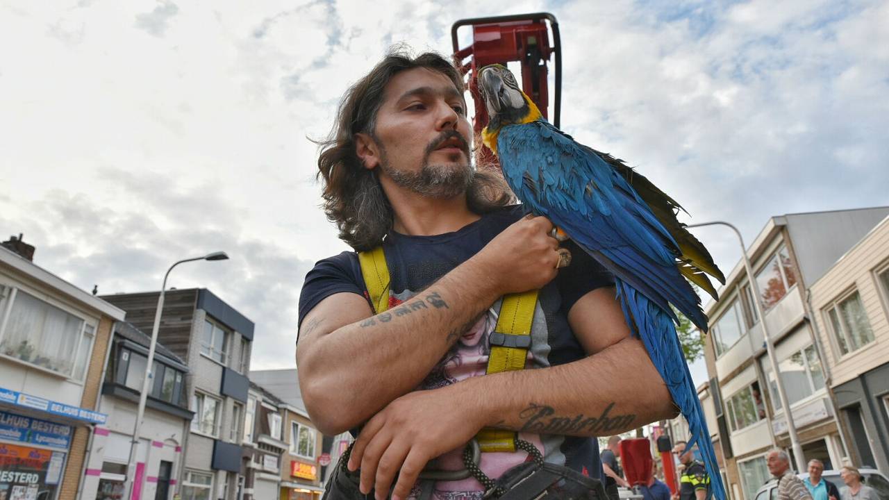 Foto: Toby de Kort