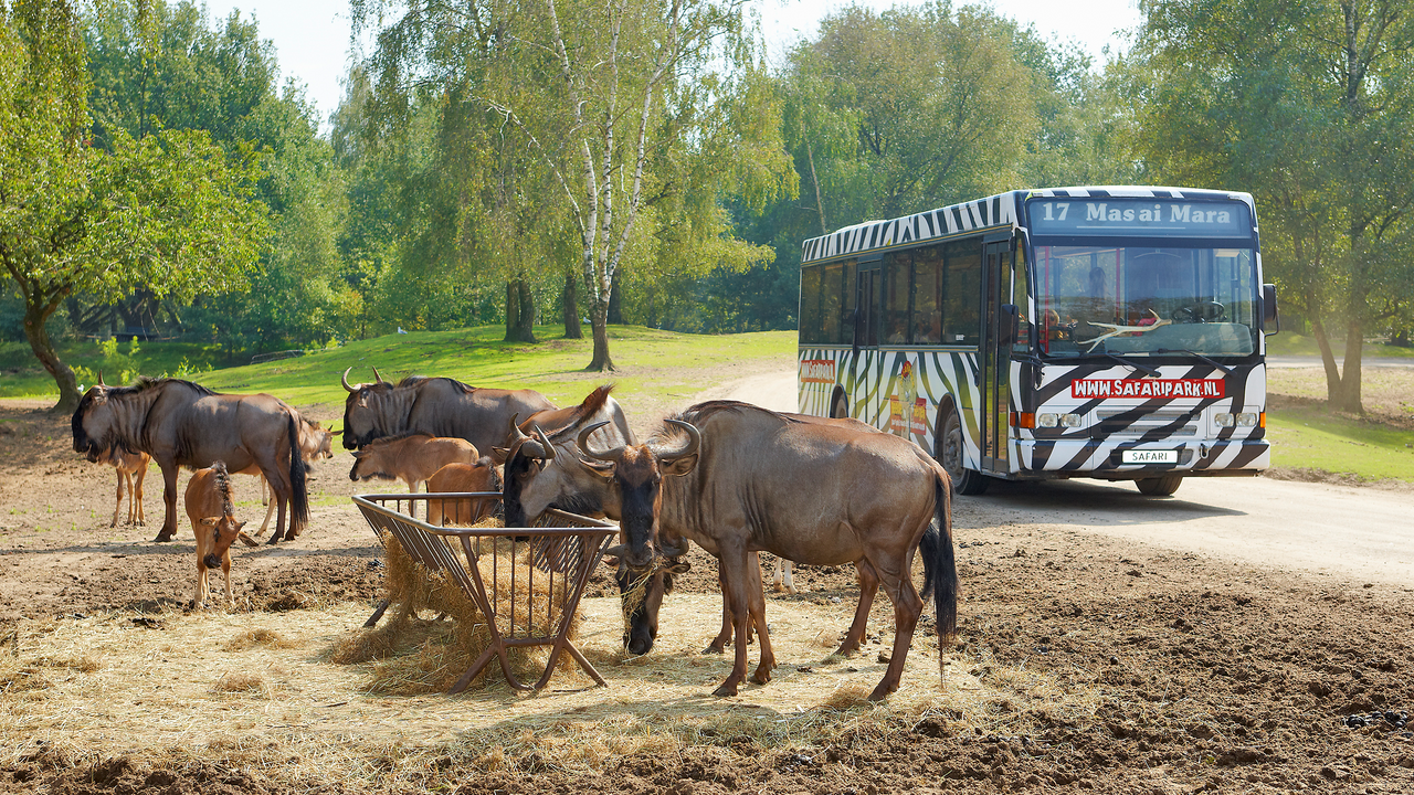 Safaripark Beekse Bergen beste dierentuin van Nederland ...