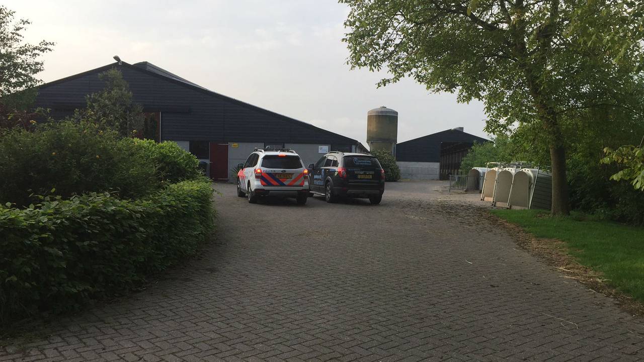 Schokkende mishandeling in Lepelstraat