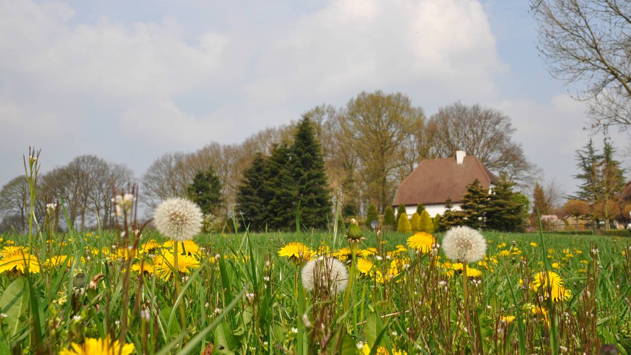 Het Brabantse platteland zoekt ideeën. (Foto: Ben Saanen)
