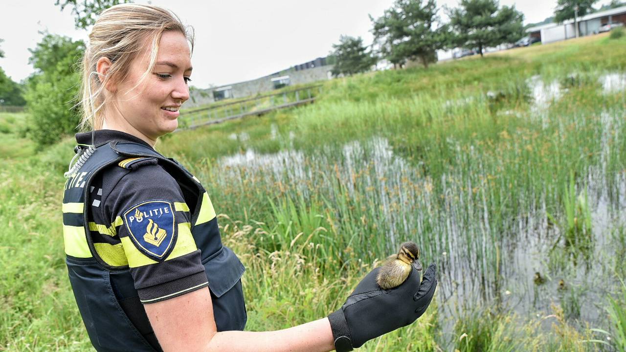 Ga naar slide 1