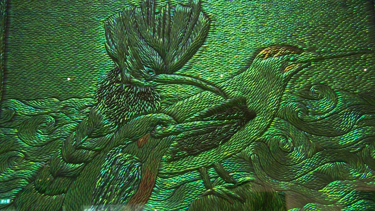 Schildpad Jan Fabre Weg Van Nieuwpoortse Zeedijk Kunst