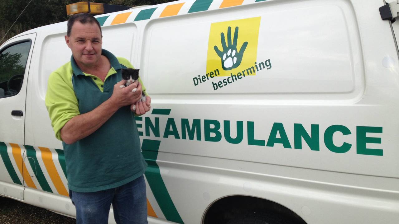 Dierenambulance zoekt dierenvrienden