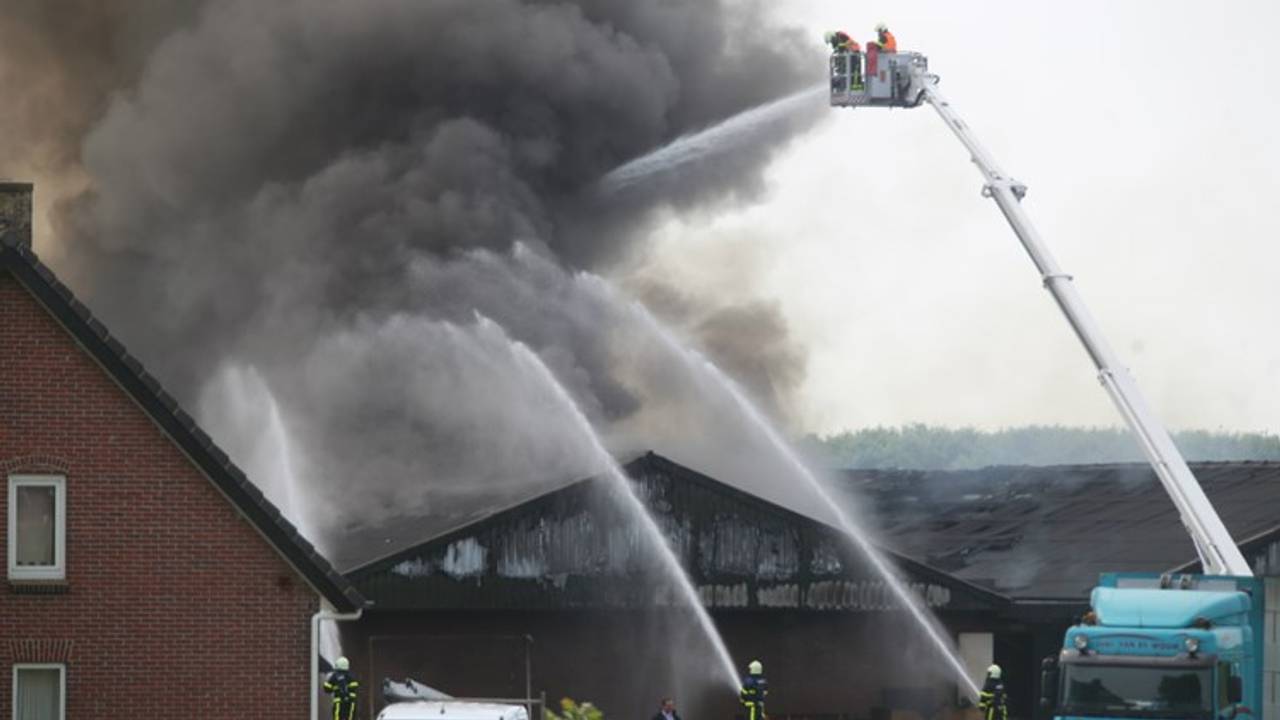 Bij de brand kwamen bij 2700 varkens om het leven.