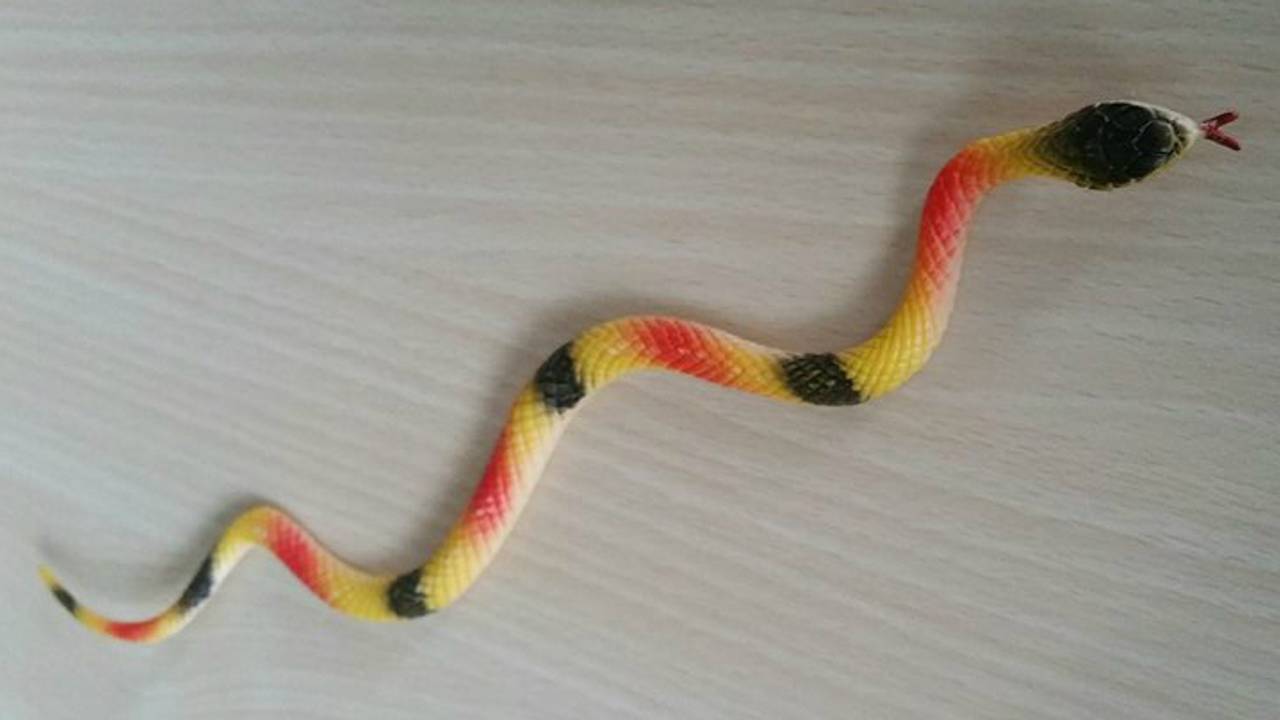 De rattenslang bleek van plastic (foto: politie Den Bosch)