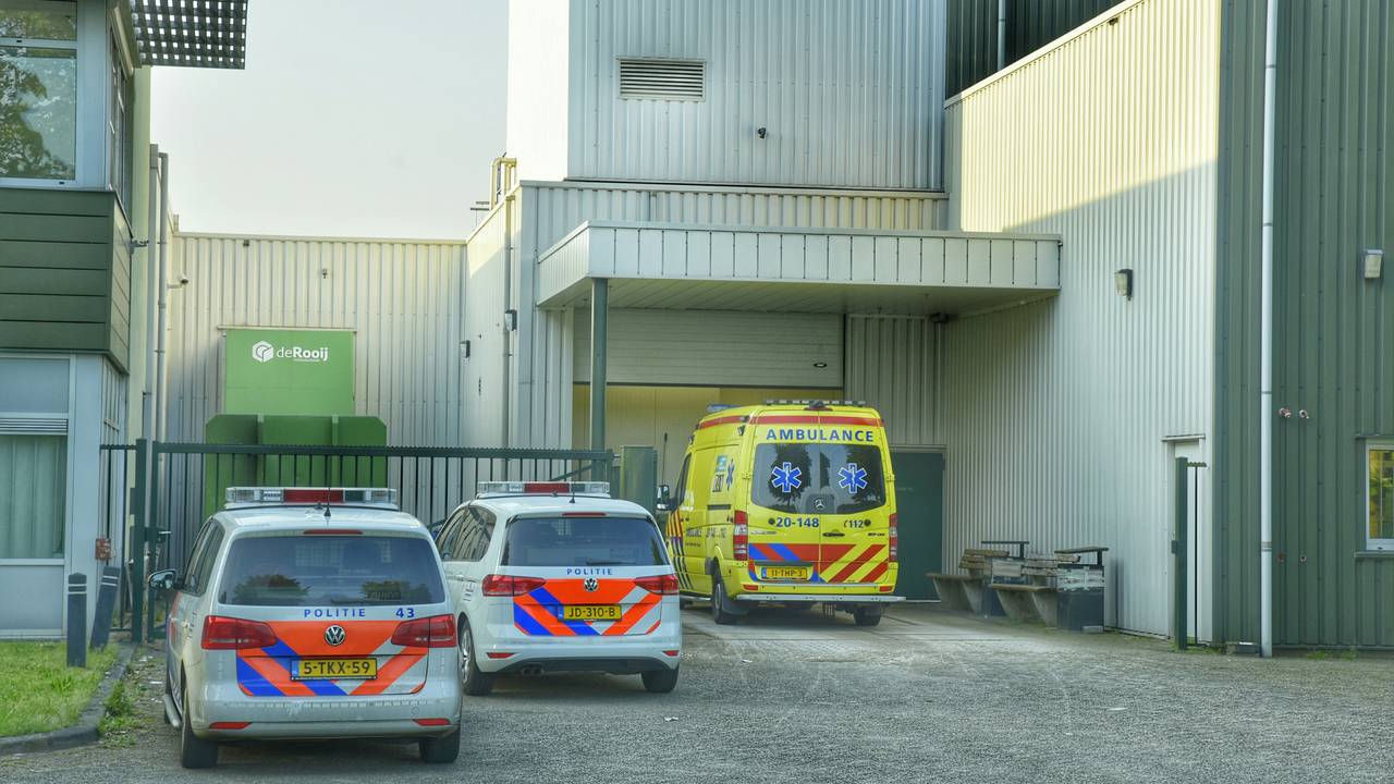 Foto: Jules Vorselaars/JV Media