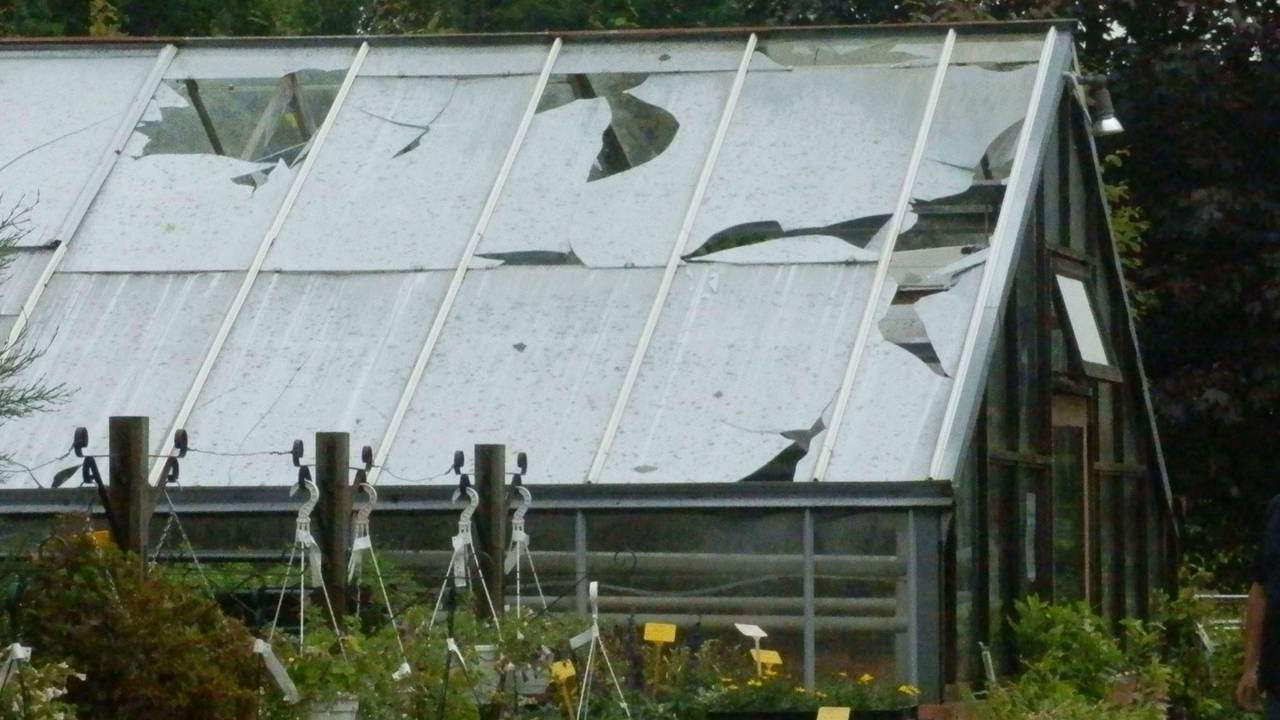 Een van de verwoeste kassen. (Foto: Zorgkwekerij de Pimpernel/Facebook)