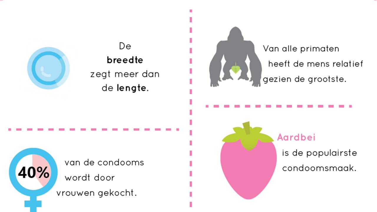 Ga naar slide 3