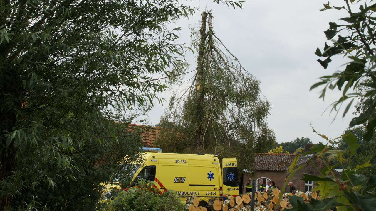 Man Zwaargewond Na Val Uit Hoge Boom Omroep Brabant