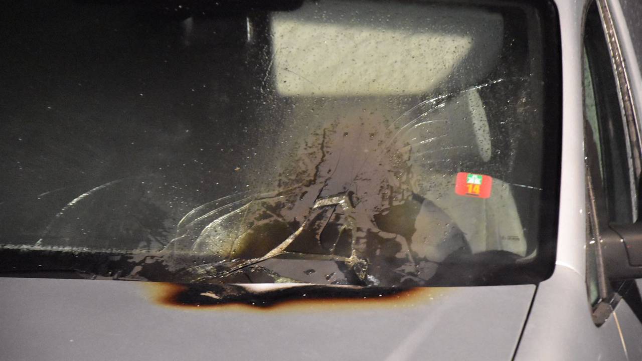 Foto: FPMB Erik Haverhals