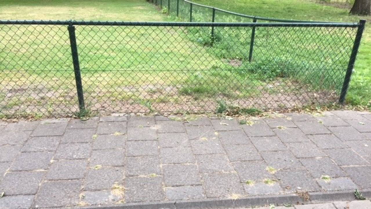 Ga naar slide 2