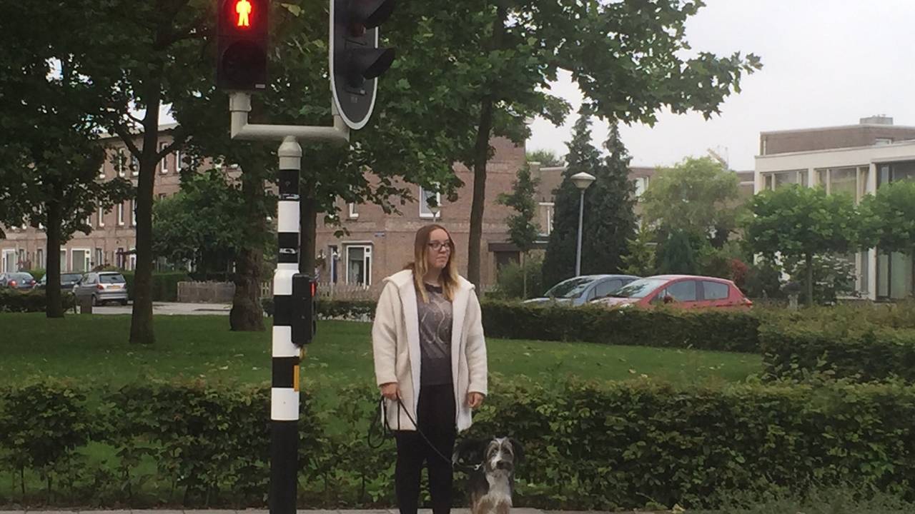 Ga naar slide 3