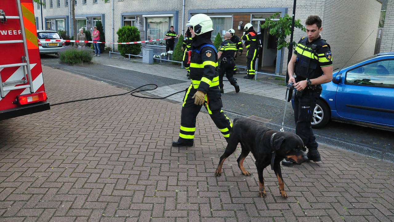 Foto: Marvin Doreleijers/FPMB