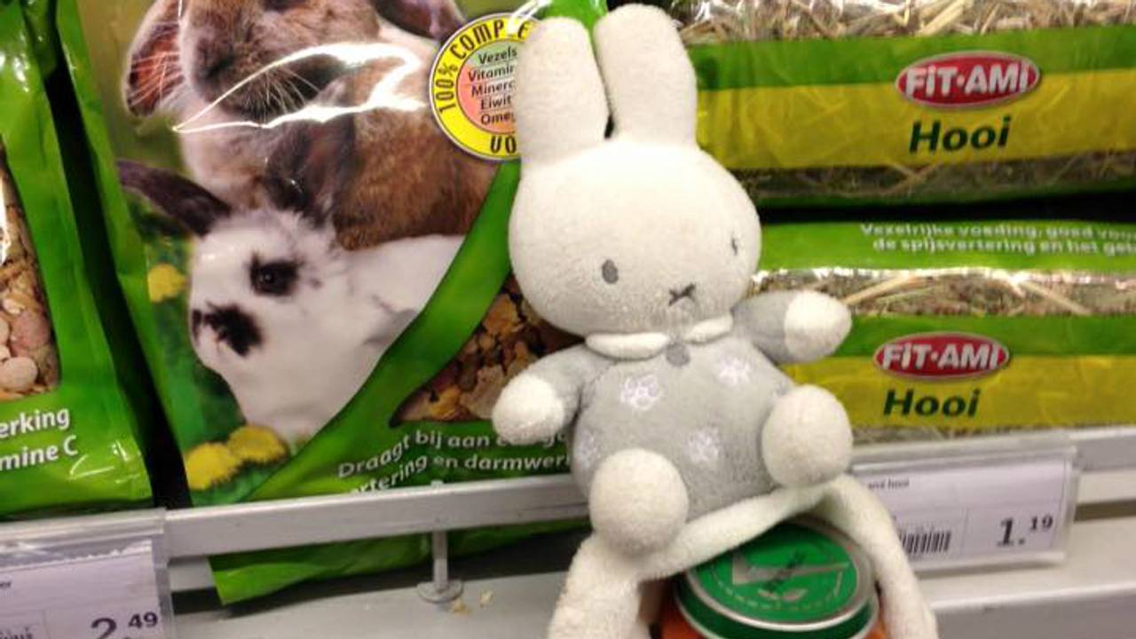 Nijn mocht meehelpen met vakkenvullen. Foto: Facebook Albert Heijn Blixembosch