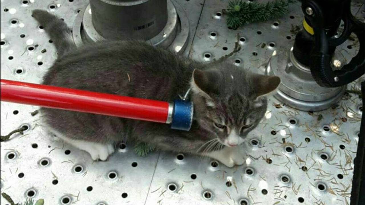 Foto: Facebook/Politie Eindhoven